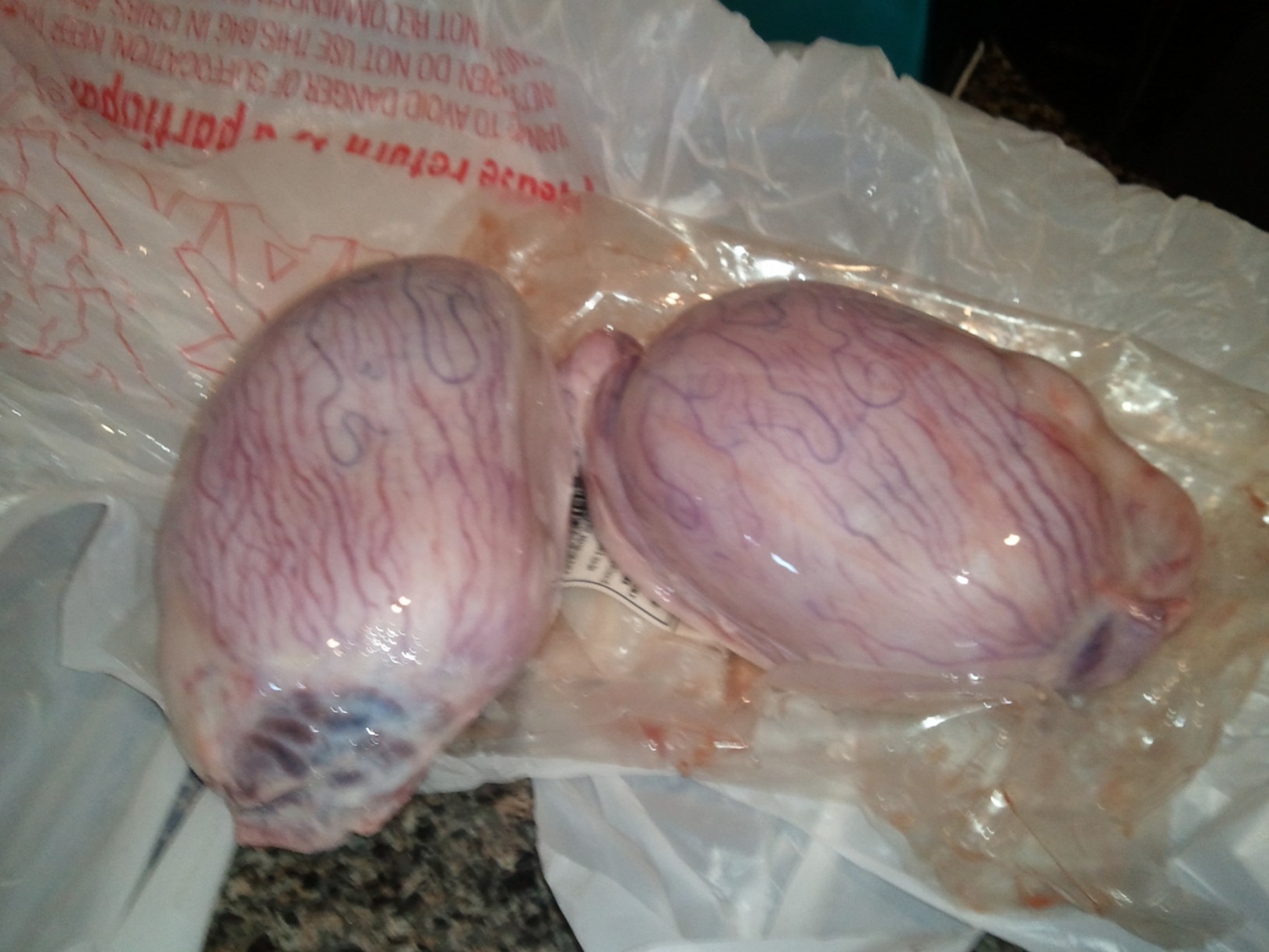 Shaved Testicles Pictures 43